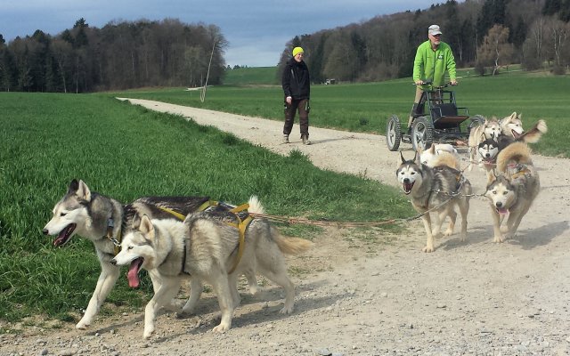 Ferienpass Mühlheim 2018 in Pfyn